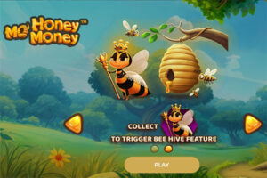 Mo’ Honey Mo’ Money Slot by Dragon Gaming